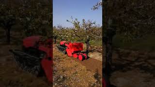 Remote Control Orchard Crawler Tractor with fertilizer