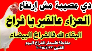 اسعار الفراخ البيضاء اليوم/ سعر الفراخ البيضاء اليوم الاثنين 23-2-2025 في مصر جمله وقطاعي