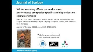 Eveline Krab - Winter warming effects on tundra shrub performance