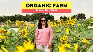 Visited an Organic Farm in Al Ain, Abu Dhabi | Things to do in Abu Dhabi