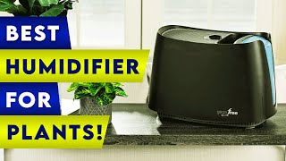 ✅ 5 Best Humidifier For Plants ! 👌