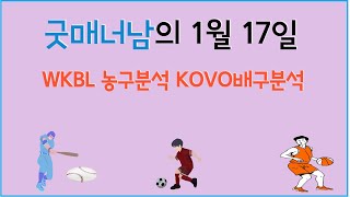 1월 17일 wkbl분석 , kovo분석 , 스포츠분석 , 프로토분석 , 농구분석 ,배구분석