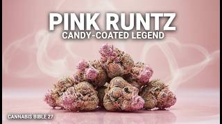 Pink Runtz: The Candy-Coated Legend You Need to Meet | Cannabis Bible 27