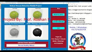 Walnut Disease Detection Using Image Processing | With Source Code | Walnut Disease Classification