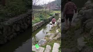 魚池入森林露森林營地