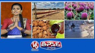 108 Feet Agarbatti  | Kg Mango Cost 2.76 Lakhs |  Coconut Shells -Cups Making | V6 Weekend Teenmaar
