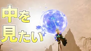 結局タマミツネ希少種の大技の泡の中はどうなっているのか【モンスターハンターライズサンブレイク実況】