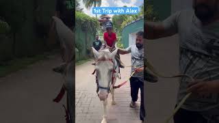 Kesh ride a horse alone with Alex🐴🐴 #horse #horseride #horseland #travelwithkeshawa