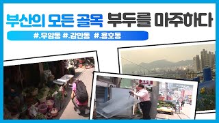 부두를 마주한 남구의 골목들/2009년 우암동/2011년 용호동/2012년 감만동