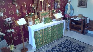 FSSP Parramatta Mass July 4th