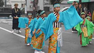 銭形よさこい2019 七彩 中州はれはれ会場