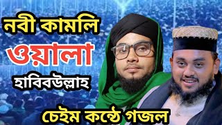 সেরা গজল নবী কামলি ওয়ালা হাবিবউল্লাহ হাফেজ আফরাজ হোসেন জালালি