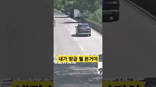 내가 방금 뭘 본거야 ㄷㄷㄷ #shorts