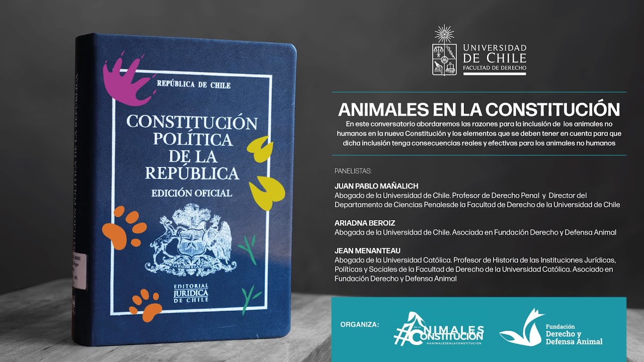 Conversatorio "Animales En La Constitución" - YouTube