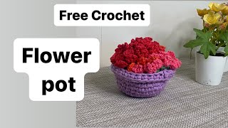 The VIRAL crochet flower pot coasters - EASY TUTORIAL