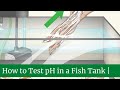 How to Test pH in a Fish Tank || How to test ph in fish tank || Checking ph levels in fish tank