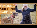 Vertrauen zum Hund aufbauen I Spiele für eine bessere Bindung zum Hund