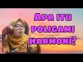 Apa itu poligami harmoni?