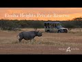 Etosha Heights Private Reserve | Namibia