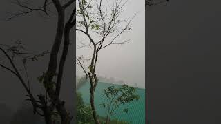 😲എജ്ജാതി മഴ അമ്പോ 😲 seen #shortvideo #shortsvideo #nature #naturelovers #naturesounds #rain