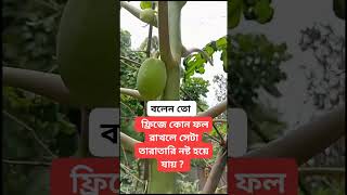 ফ্রিজে কোন ফল রাখলে সেটা তারাতারি নষ্ট হয়ে যায় ?  #shorts2024 #viralshort #trending #shortvideos