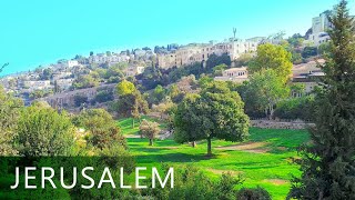 JERUSALEM, Walk from Bible Hill to Jaffa Gate of Old City
