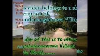 Siyambalangamuwa Village, Maho. North Western Province, Srilanka..mp4