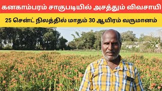 25 சென்ட் நிலத்தில் மாதம் 30 ஆயிரம் வருமானம் கனகாம்பரம் சாகுபடியில் அசத்தும் விவசாயி