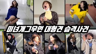 몰카 ) 상큼 발랄 섹시 미녀개그우먼들 대형견 소리로 놀래키기 몰래카메라 하이라이트 모음!! 포복절도 ㅋㅋㅋ 시간순삭 꿀잼 리액션