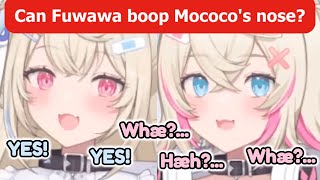 Can Fuwawa boop Mococo's nose? [hololive / fuwamoco]