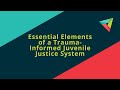 Essential Elements of a Trauma Informed Juvenile Justice System