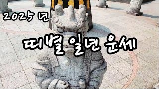 [🎉 재미로 보는 운세 🔮] 2025년(을사년) 🐍 12간지 각 띠별 일년 운세 ✨