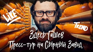 Здесь Гашев. Пресс-тур на Сырный Завод. Раскрываем Тайны «Рота-Агро».