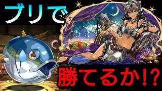 【パズドラ】まさかのブリで挑むシェヘラザード降臨　初見チャレンジ　さすがにこれはやばいか！？