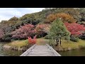 自転車ランドナーで、紅葉を探してポタリング、浜松で紅葉が綺麗な公園をぶらりとした