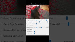 An Easy Way to Learn Image Processing