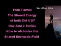 Twin Flames 🔥 The Shared Energy of DM and DF One Soul 2 Bodies