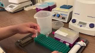 Lab Demo: Cheek Cell DNA Extraction for Alu PCR