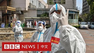 上海封城近半月感染人數仍攀升 嚴厲隔離措施引發民眾抗議 － BBC News 中文