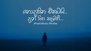 Nodakina Ekatai Den Hitha Kemathi | නොදකින එකටයි දැන් හිත කැමතී | Lyric Video | Paalu Music | Kafee