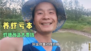 阿金养小龙虾爱折腾，连续亏本3年，钱都花在虾塘建设