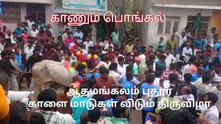 ஆதமங்கலம் புதூர் ஜல்லிக்கட்டு 2025 |Adamangalam pudur jallikattu 2025 | #jallikattu