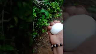 M4 Tech l മുട്ട ഞെക്കി പൊട്ടിച്ചപ്പോൾ  l #shorts #youtubeshorts #m4tech #viral #trending #trend