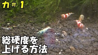 【カ#1】レッドビーシュリンプ水槽の総硬度を上げる方法【カボチャのビーシュリンプ日記】