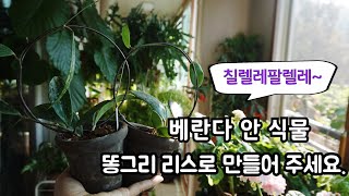 칠렐레팔렐레~ 베란다안 식물들에게  똥그리 리스를 선물로 만들어 주세요.