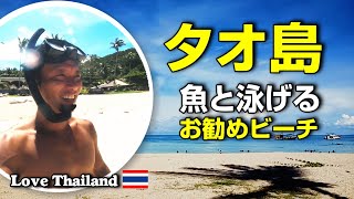 念願のGOプロで水中撮影開始！タオ島の美しい海で熱帯魚と泳ぐ！