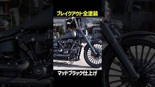 ブレイクアウト全塗装カスタム#harleydavidson#breakout