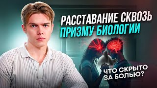 Расставание сквозь призму биологии: что скрыто за болью?