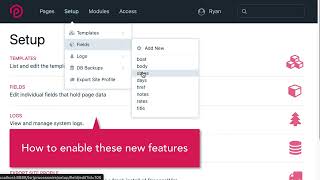 ProcessWire ProFields Table: new features in Table v28 and v29