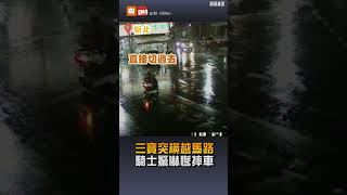 【地方】三寶突橫越馬路 騎士驚嚇慘摔車